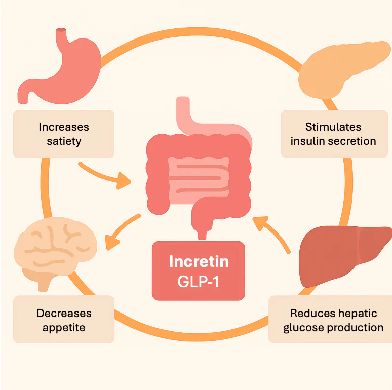 Semaglutide price, where to buy semaglutide